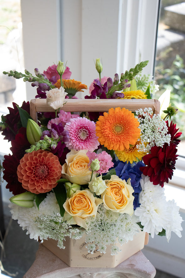 BRIGHT & CHEERY_Large