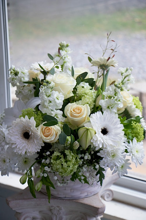 White & Green_Premium