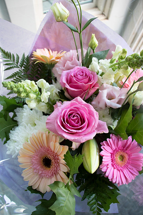 Pastel_$65 (standard)