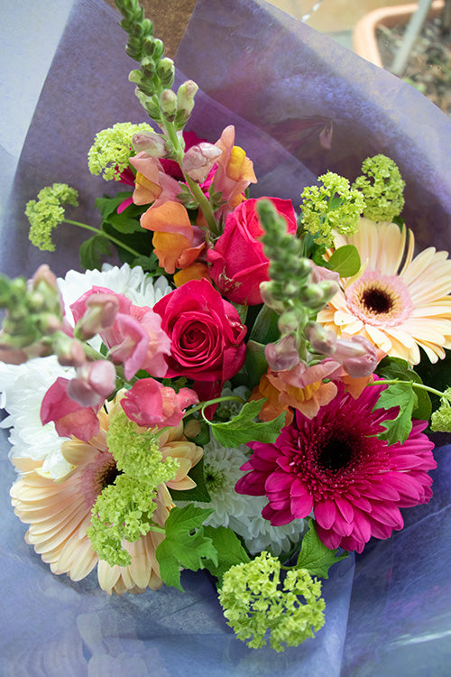 Bright & Cheery_65 (standard)