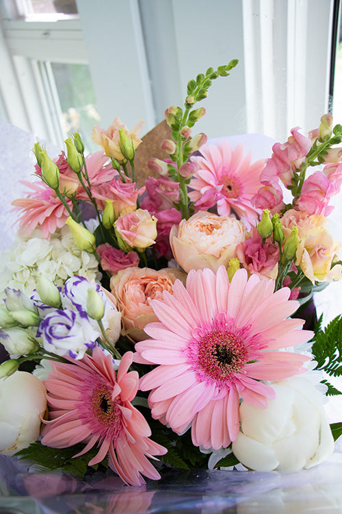 Pastel_$85 (premium)