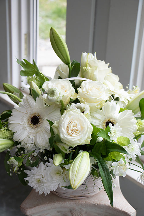 White & Green_Standard