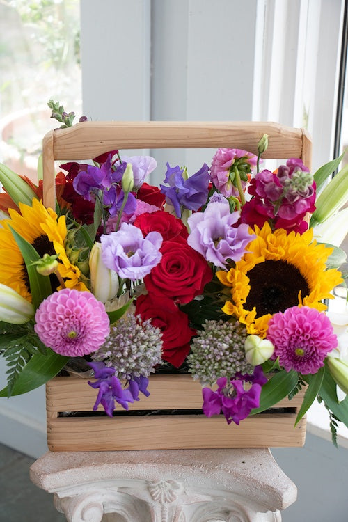 BRIGHT & CHEERY_Large