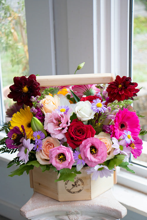 BRIGHT & CHEERY_Large