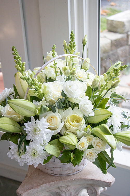 White & Green_Premium