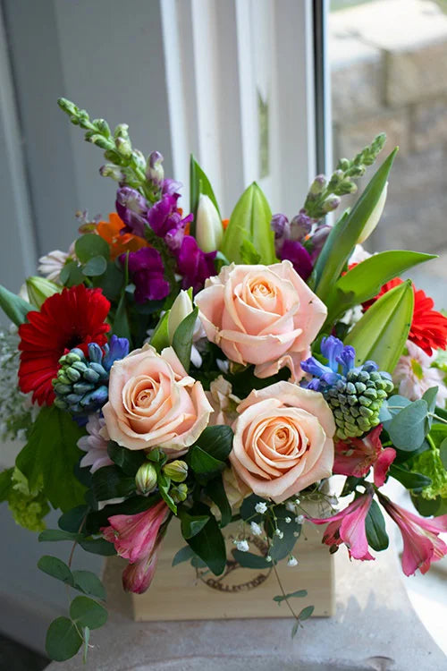 Bright & Cheery_Medium