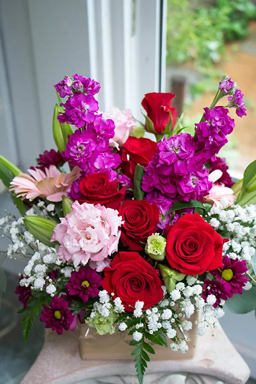 Bright & Cheery_Medium