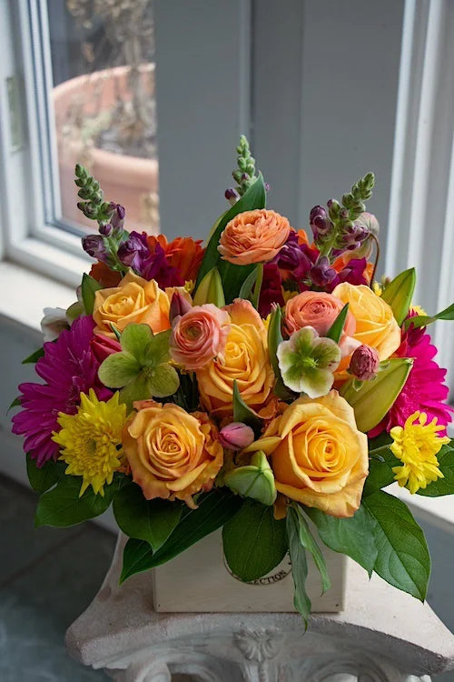 Bright & Cheery_Medium