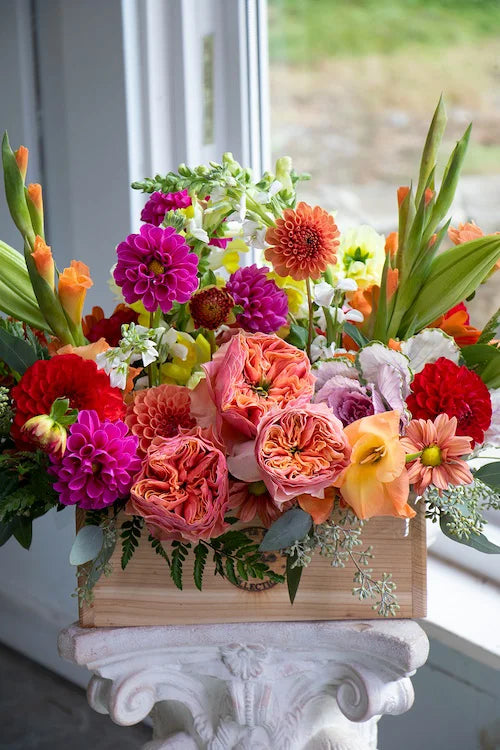 Bright & Cheery_Large