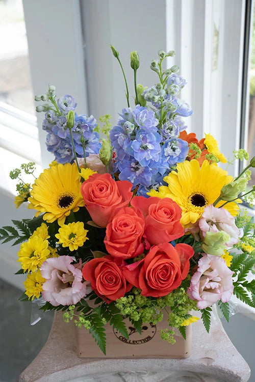 Bright & Cheery_Medium