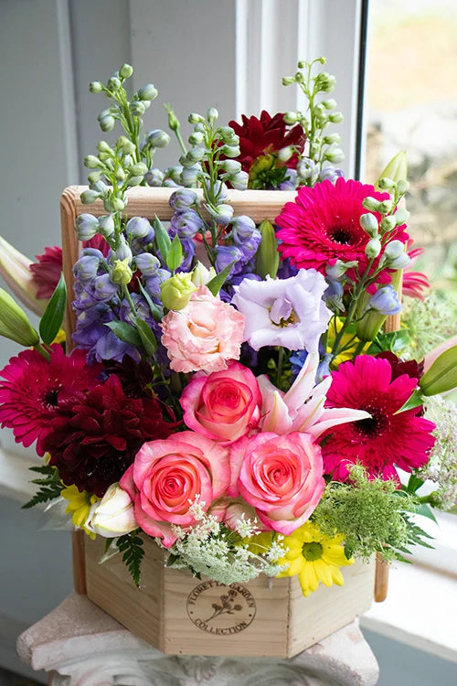 BRIGHT & CHEERY_Large