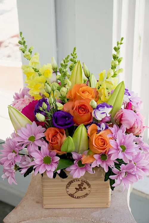 Bright & Cheery_Medium