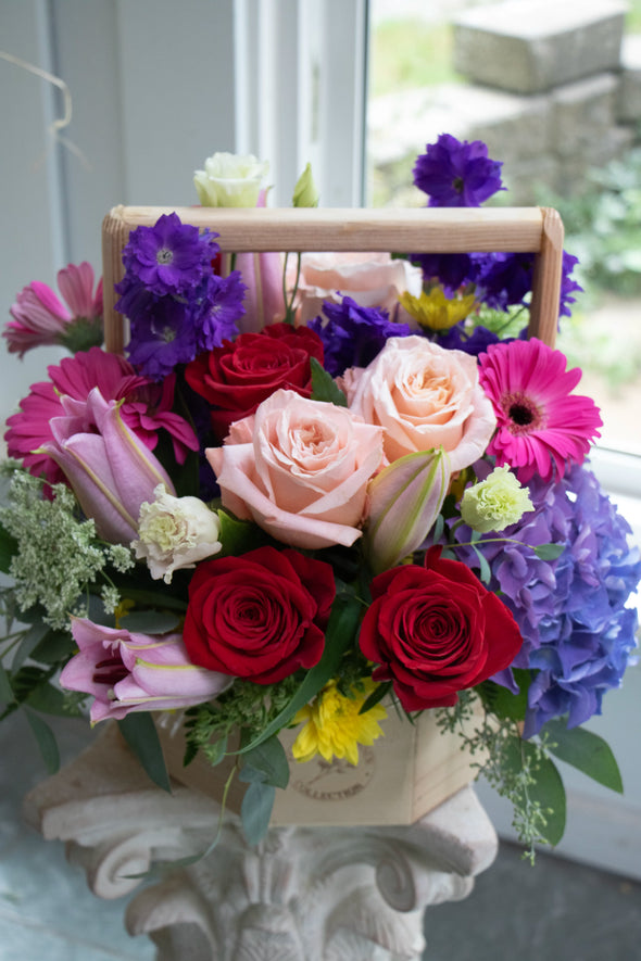 BRIGHT & CHEERY_Large