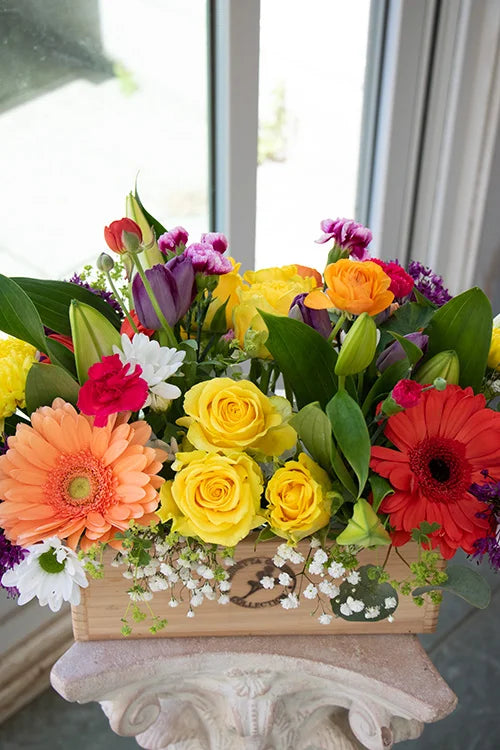 Bright & Cheery_Large