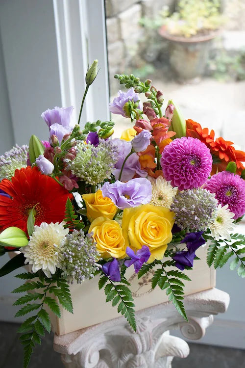 Bright & Cheery_Large