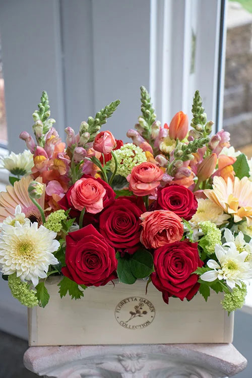 Bright & Cheery_Large