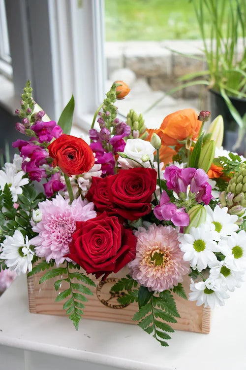 Bright & Cheery_Large