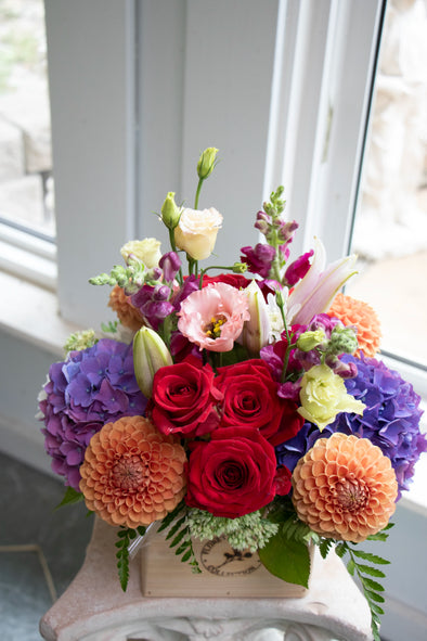 Bright & Cheery_Medium