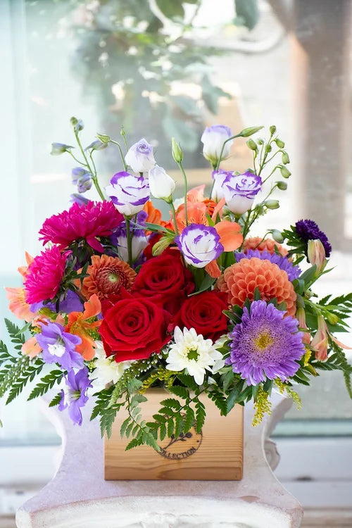 Bright & Cheery_Medium