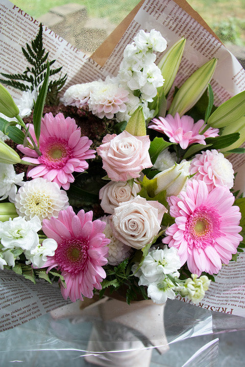 Pastel_$85 (premium)