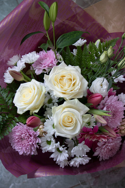 Pastel_$65 (standard)