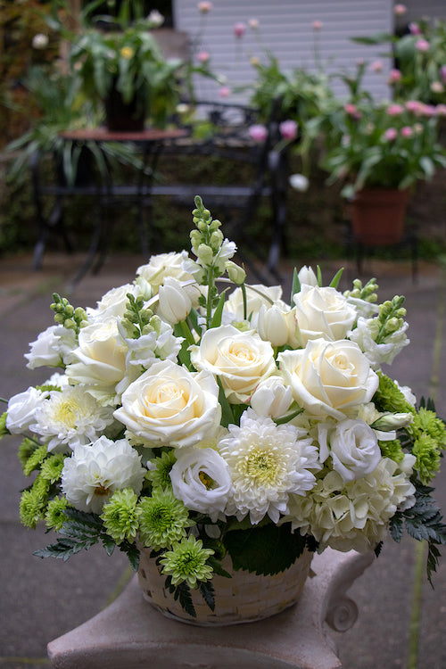 White & Green_Premium