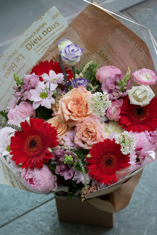 Bright & Cheery_$85 (premium)