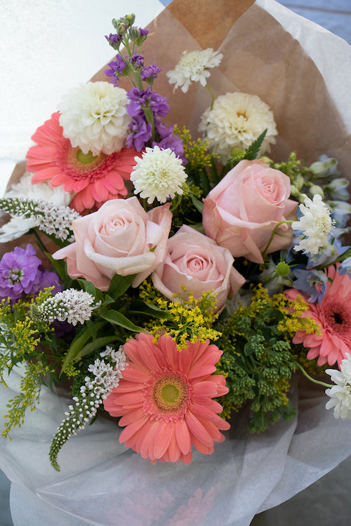 Pastel_$65 (standard)