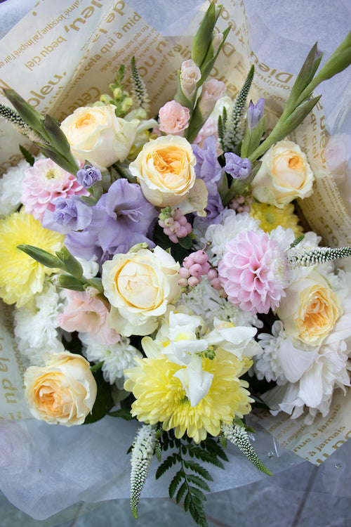 Pastel_$85 (premium)