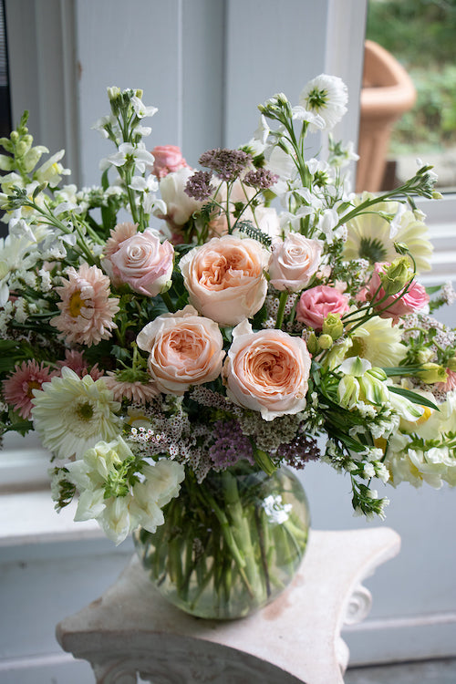 Pastel_$250 (X-Large)