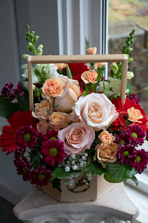 BRIGHT & CHEERY_Large