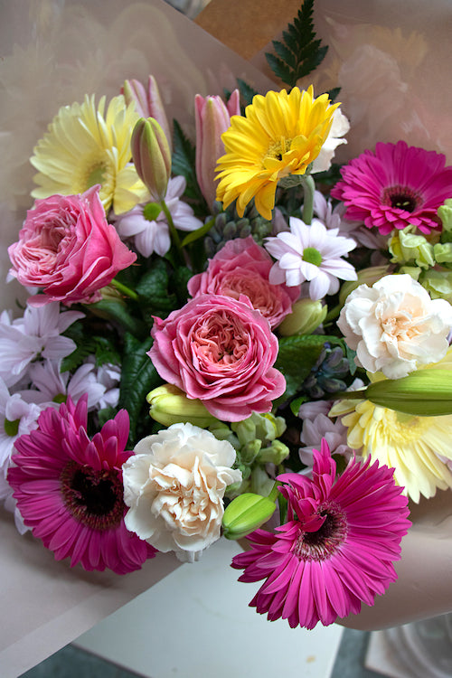 Bright & Cheery_$65 (standard) 