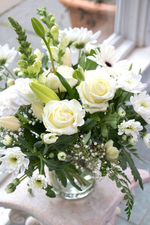 White & Green_Standard