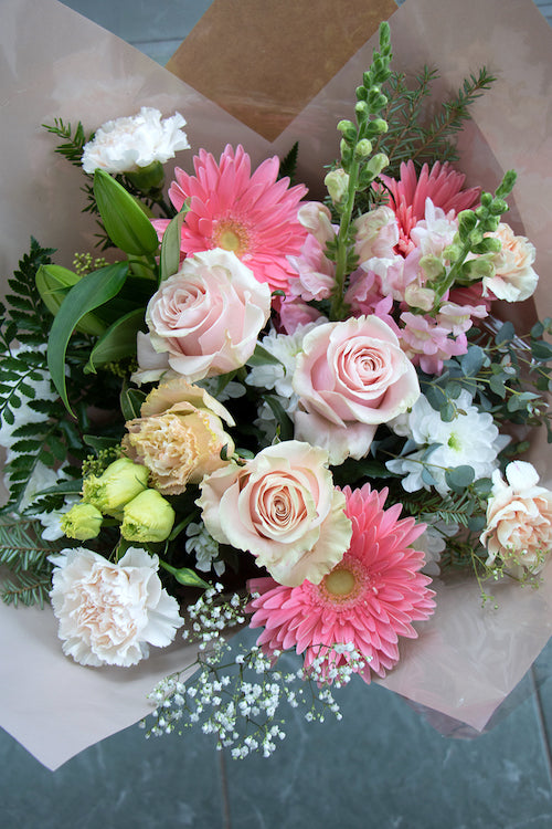 Pastel_$85 (premium)