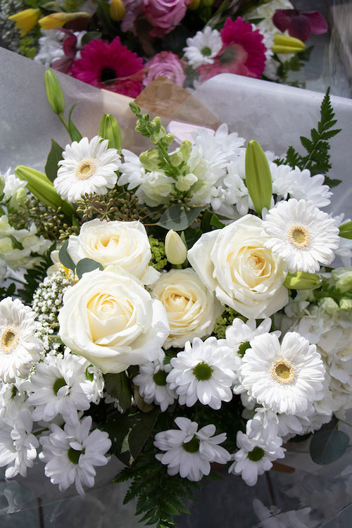 White & Green_$85 (premium)