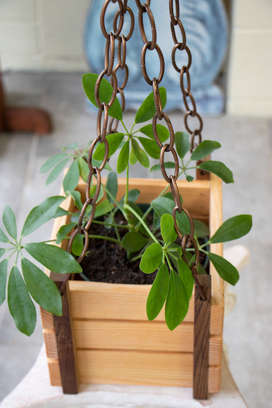 Rustic Plant Holder
