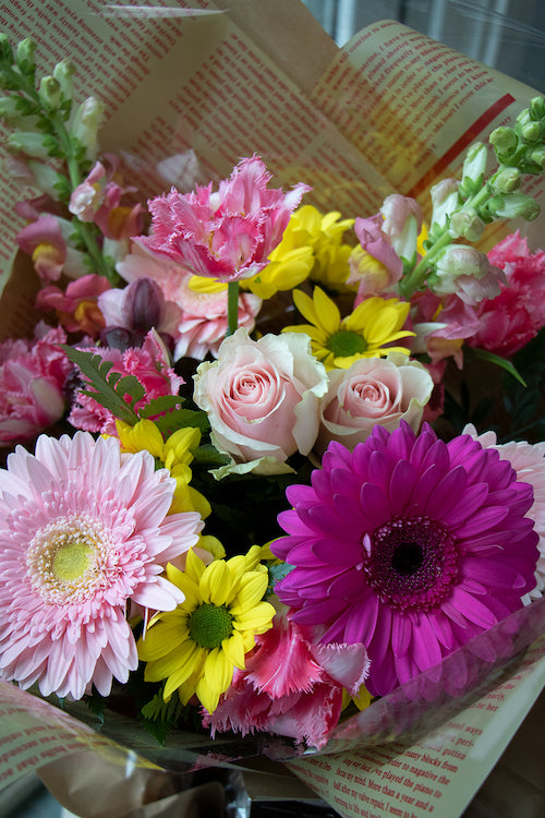 Pastel_$65 (standard)