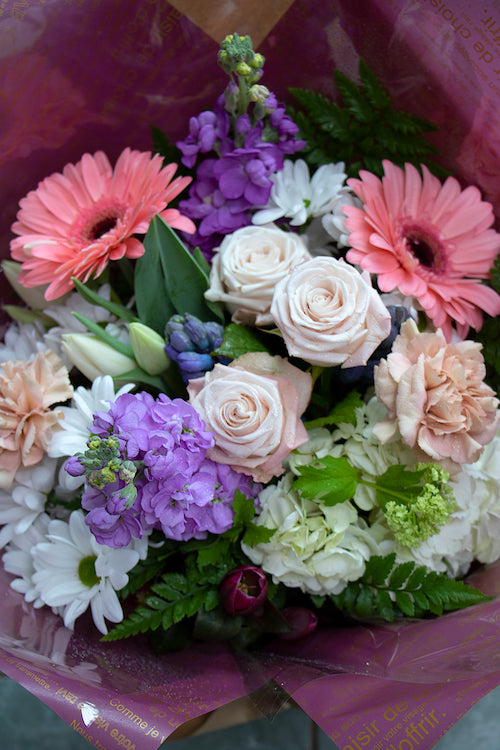 Pastel_$85 (premium)