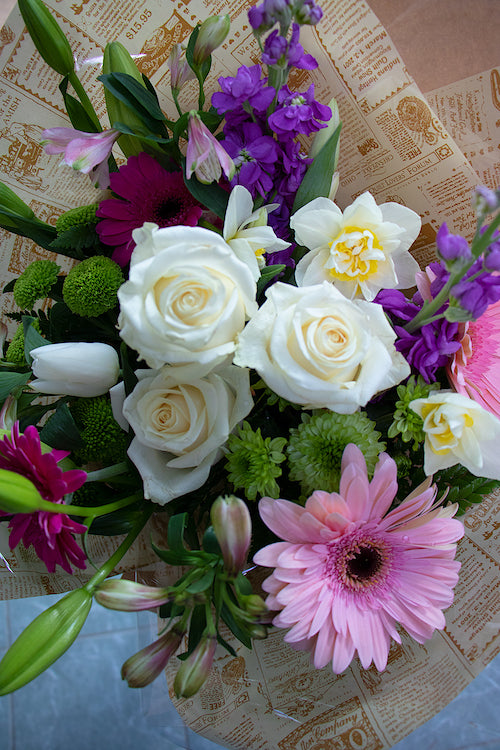 Pastel_$65 (standard)