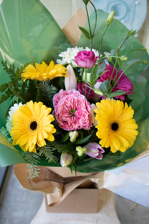 Bright & Cheery_$65 (standard)