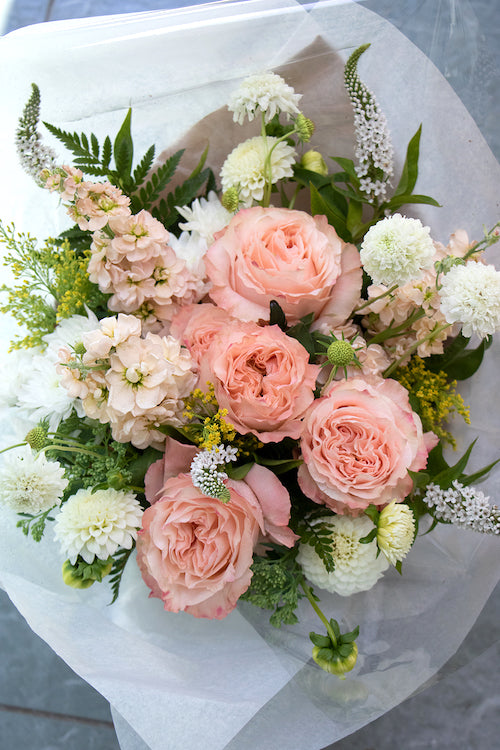 Pastel_$85 (premium)