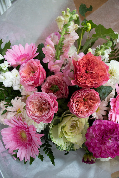 Pastel_$85 (premium)